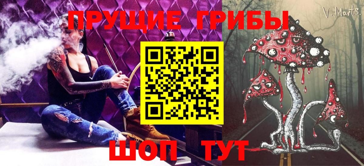 Шатура  Галлюциногенные грибы мицелий  Псилоцибиновые грибы Magic Shrooms  Вход с VPN 