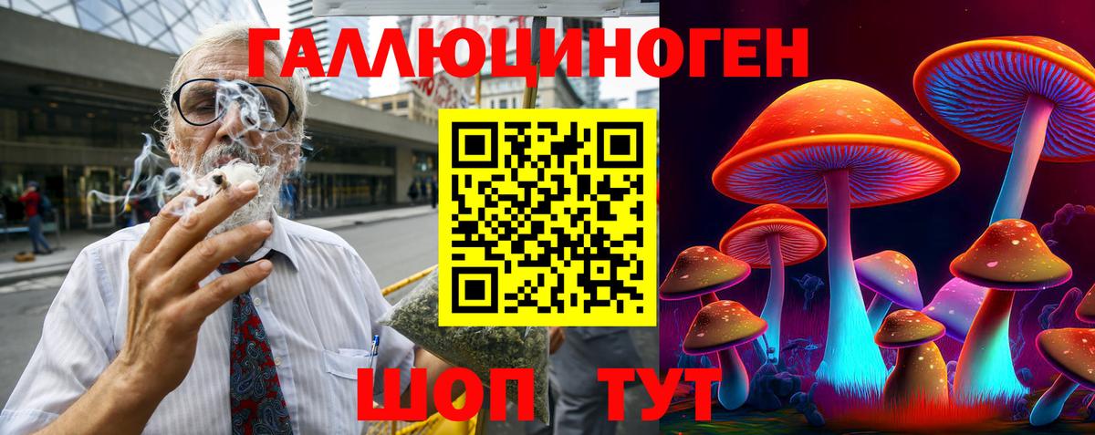 Псилоцибиновые грибы Cubensis Шатура