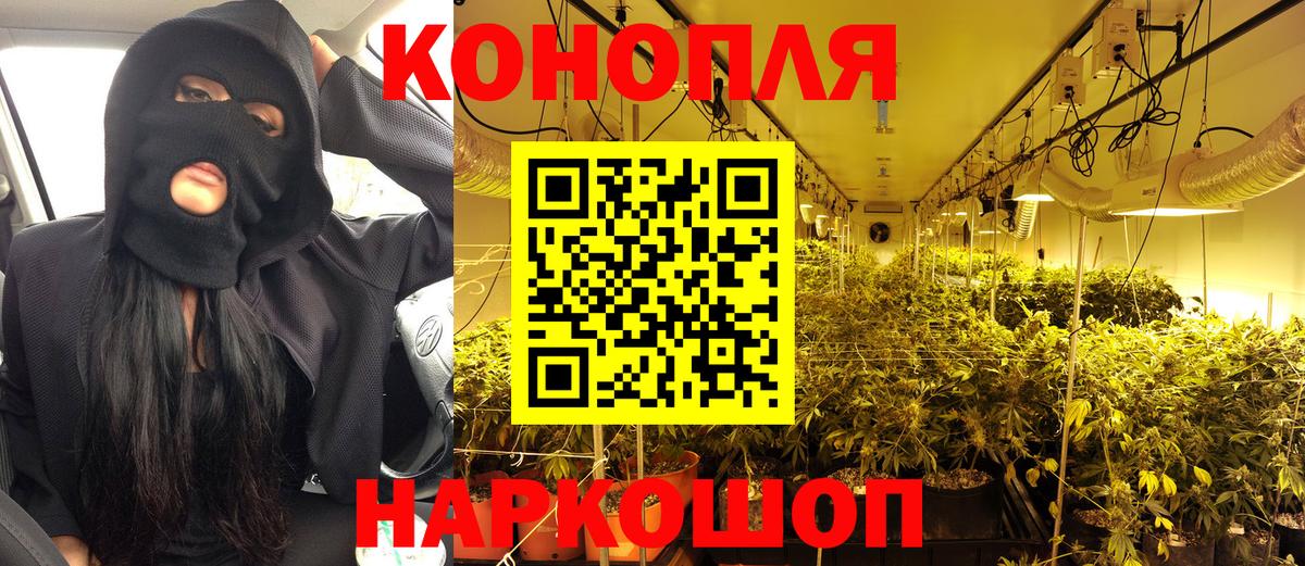 Шишки марихуана VHQ  Бошки Шишки марихуана  Шатура  Шишки марихуана сатива  Вход с VPN  Бошки Шишки семена 